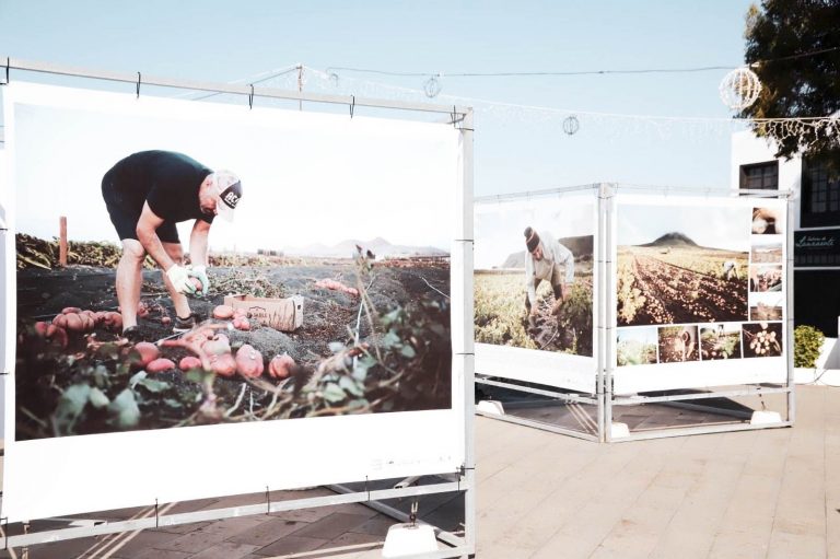 Lee más sobre el artículo Teguise acoge una exposición que pone en valor el trabajo del campo como fundamental para el desarrollo sostenible de la isla