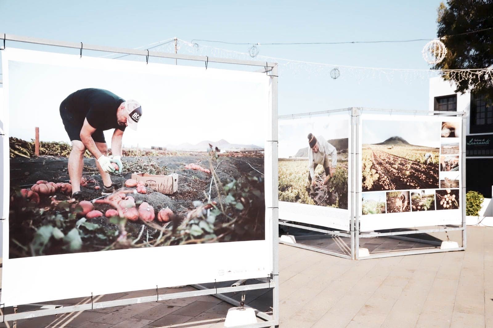 En este momento estás viendo Teguise acoge una exposición que pone en valor el trabajo del campo como fundamental para el desarrollo sostenible de la isla