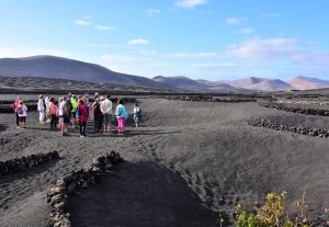 Lee más sobre el artículo Vinos de Lanzarote lanza nuevas actividades para esta primavera en su búsqueda de wine lovers.