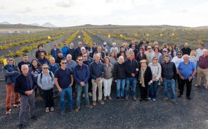 Lee más sobre el artículo Bodegas El Grifo presenta su vendimia de invierno, marcando un hito histórico en el hemisferio norte