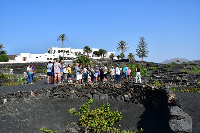 Lee más sobre el artículo Malvasía, la semana del vino de Lanzarote, cierra su octava edición con gran éxito