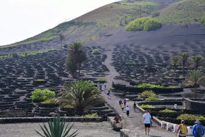 Lee más sobre el artículo Vinos de Lanzarote busca sorprender a los wine lovers con su nuevo calendario de actividades